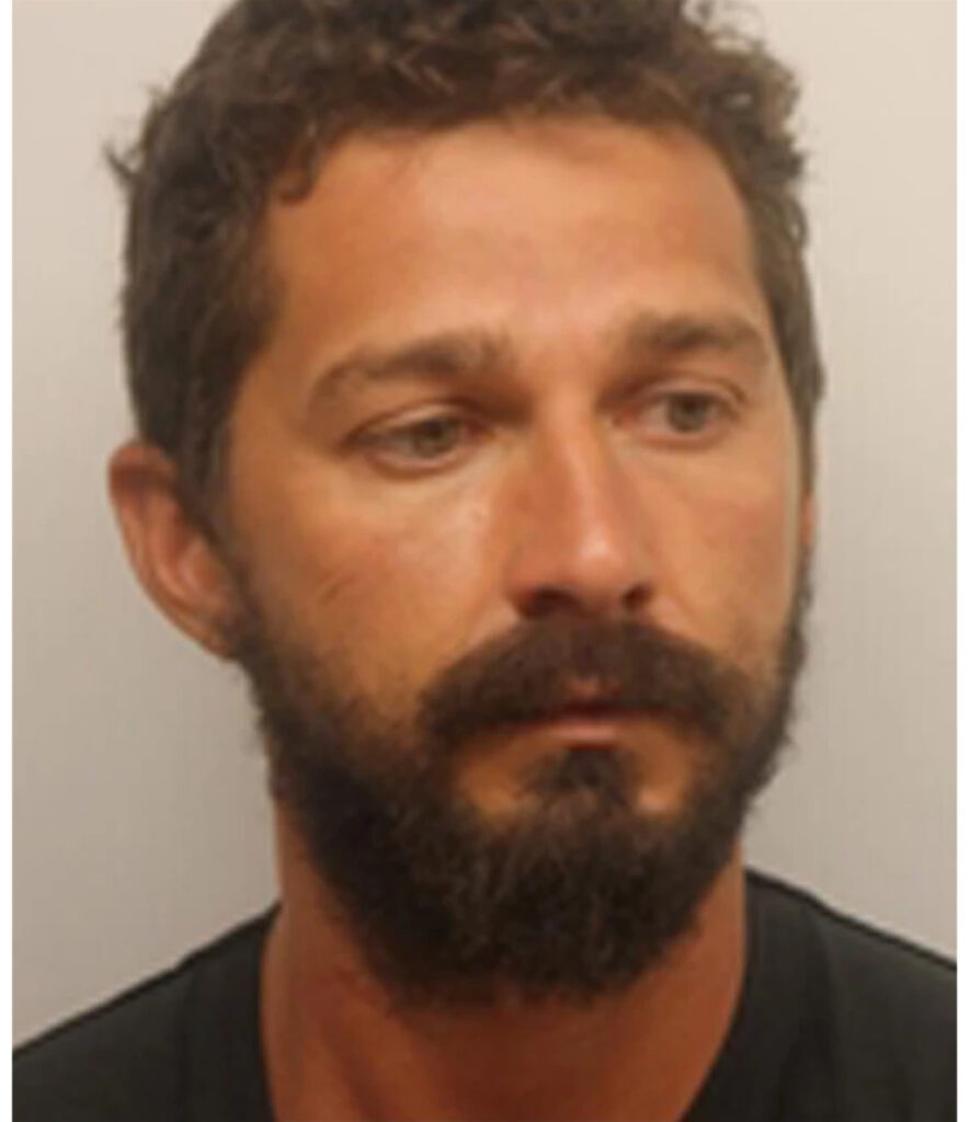 Shia LaBeouf Mugshot, 2017
